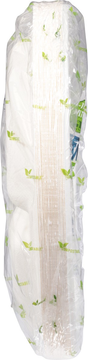 slide 11 of 12, 3-Compartment 10 Plate, 20 ct