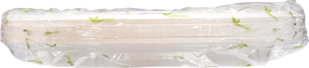 slide 3 of 12, 3-Compartment 10 Plate, 20 ct