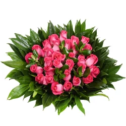 Bloom Haus 30 Plus Rose Bouquet - Hot Pink