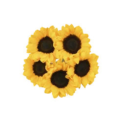 Giant Eagle, Floral Sunflowers, 5 Stem