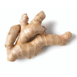 Fresh Organic Ginger