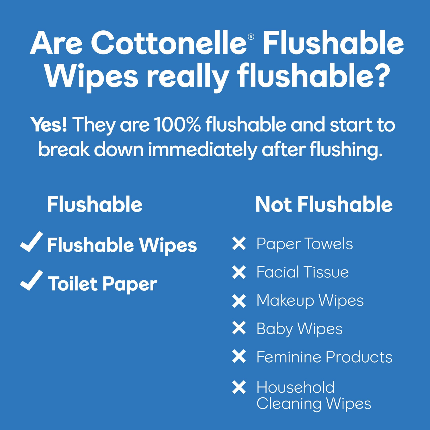 slide 5 of 8, Cottonelle UltraFresh XL Flushable Wet Wipes, Adult Wipes Large, 1 Flip-Top Pack, 60 Wipes per Pack (60 Total Flushable Wipes), 60 ct