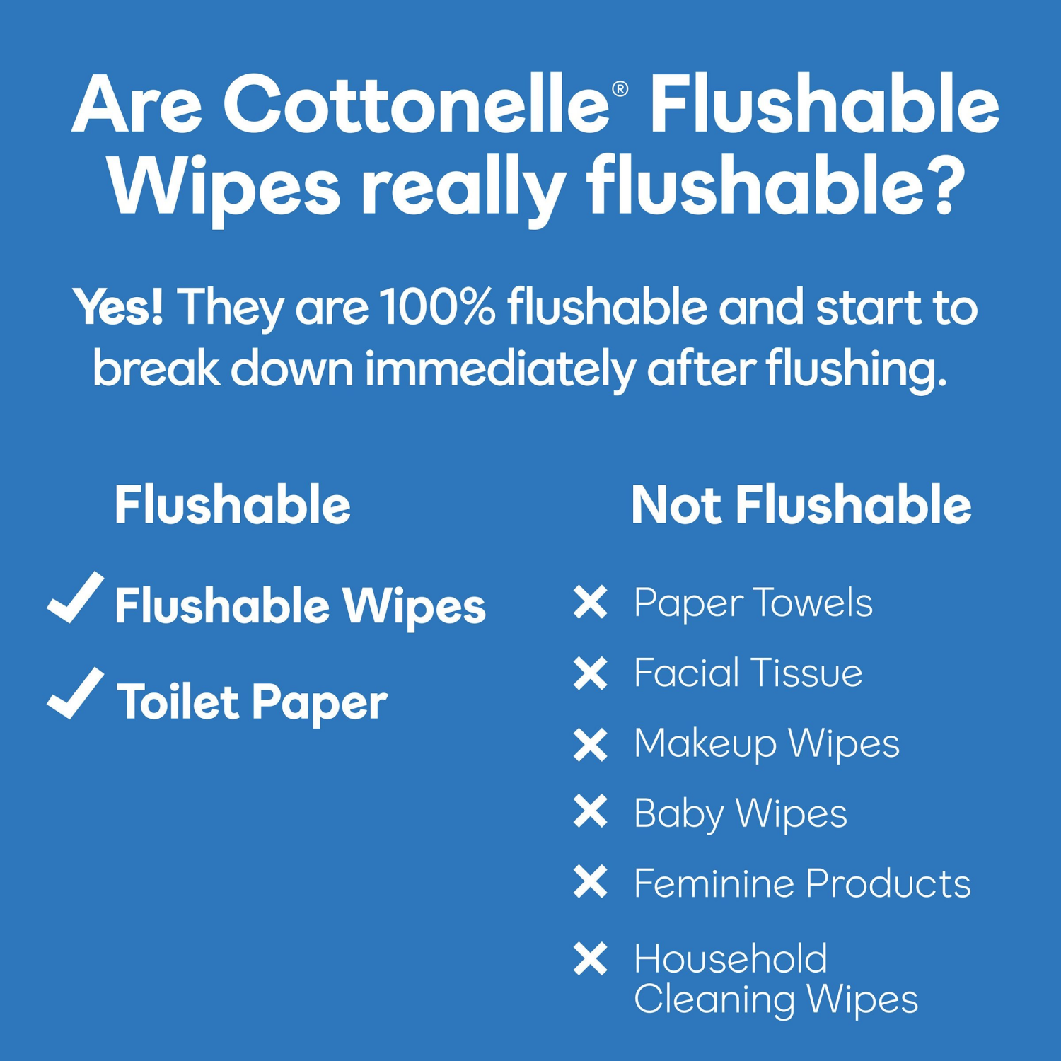 slide 2 of 8, Cottonelle UltraFresh Flushable Wet Wipes, Adult Wet Wipes, 4 Flip-Top Packs, 42 Wipes per Pack (168 Total Flushable Wipes), 4 ct