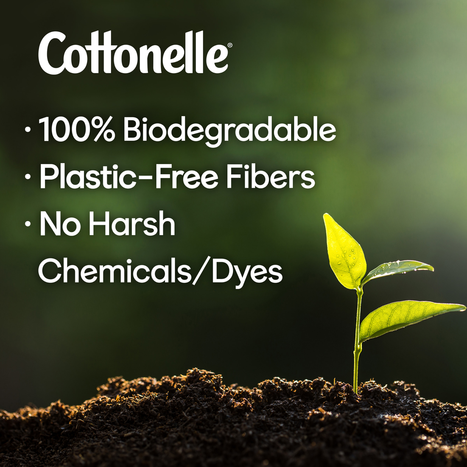 slide 3 of 8, Cottonelle UltraFresh Flushable Wet Wipes, Adult Wet Wipes, 4 Flip-Top Packs, 42 Wipes per Pack (168 Total Flushable Wipes), 4 ct