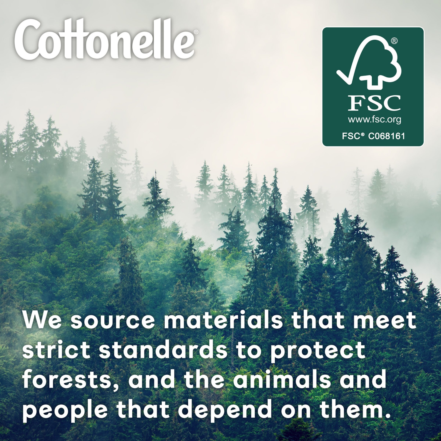 slide 5 of 8, Cottonelle UltraFresh Flushable Wet Wipes, Adult Wet Wipes, 4 Flip-Top Packs, 42 Wipes per Pack (168 Total Flushable Wipes), 4 ct