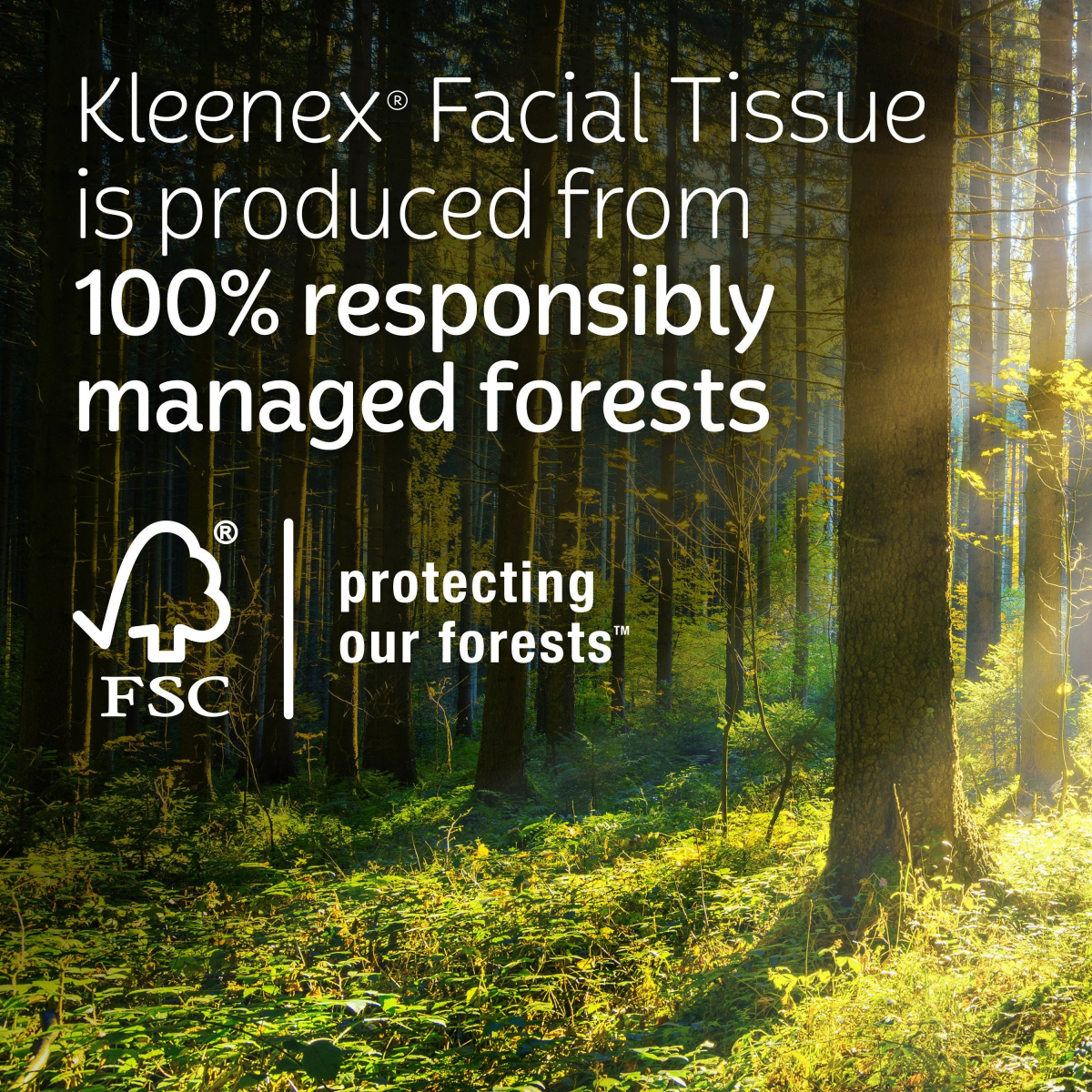 slide 7 of 8, Kleenex Lotion Facial Tissues with Coconut Oil, 6 Flat Boxes, 120 Tissues Per Box, 3-Ply, 6 ct