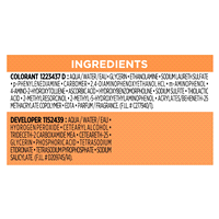 slide 4 of 29, L'Oreal Paris Men Expert One Twist Hair Color, No Mix, No mess, Real Black 02, 1 kit, 1 ct