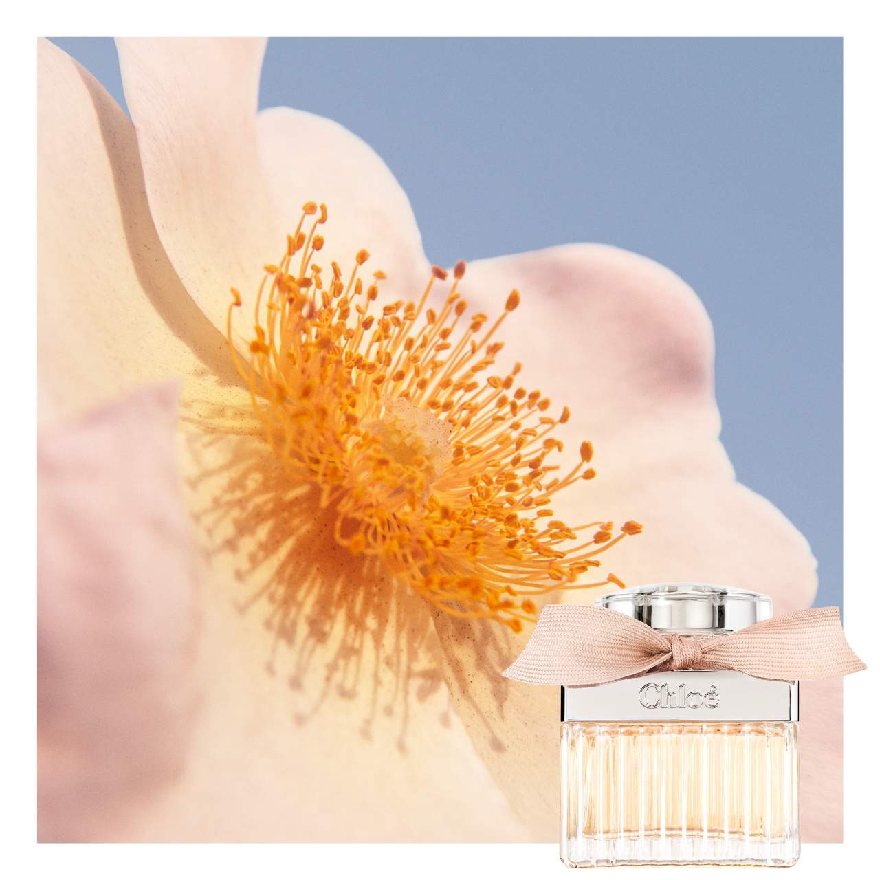 slide 5 of 7, Chloé Eau de Parfum with Lychee, Rose & Amber 1.6 oz/ 47 mL, 