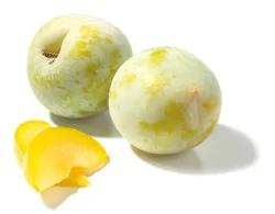 Fresh Green Plumcots