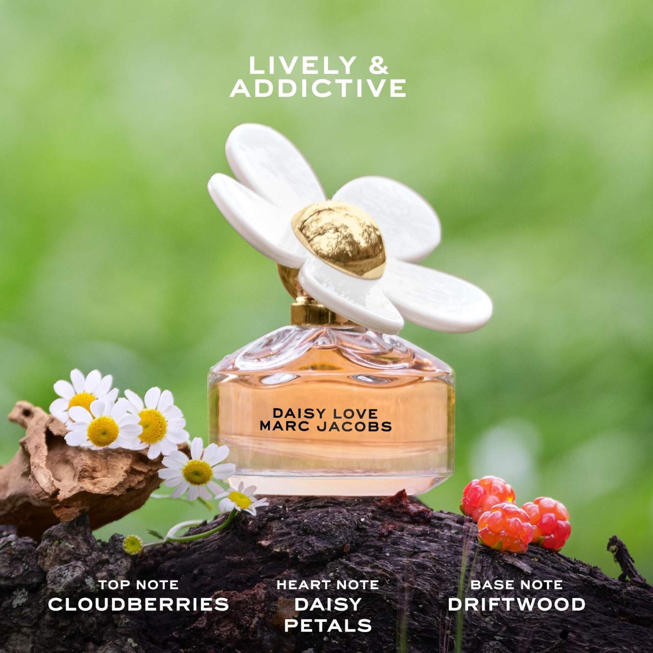slide 3 of 6, Marc Jacobs Fragrances Daisy Love Eau de Toilette with Crystalized Cloudberries, Daisy Petals & Driftwoods 1.6 oz / 50 ml eau de toilette spray,