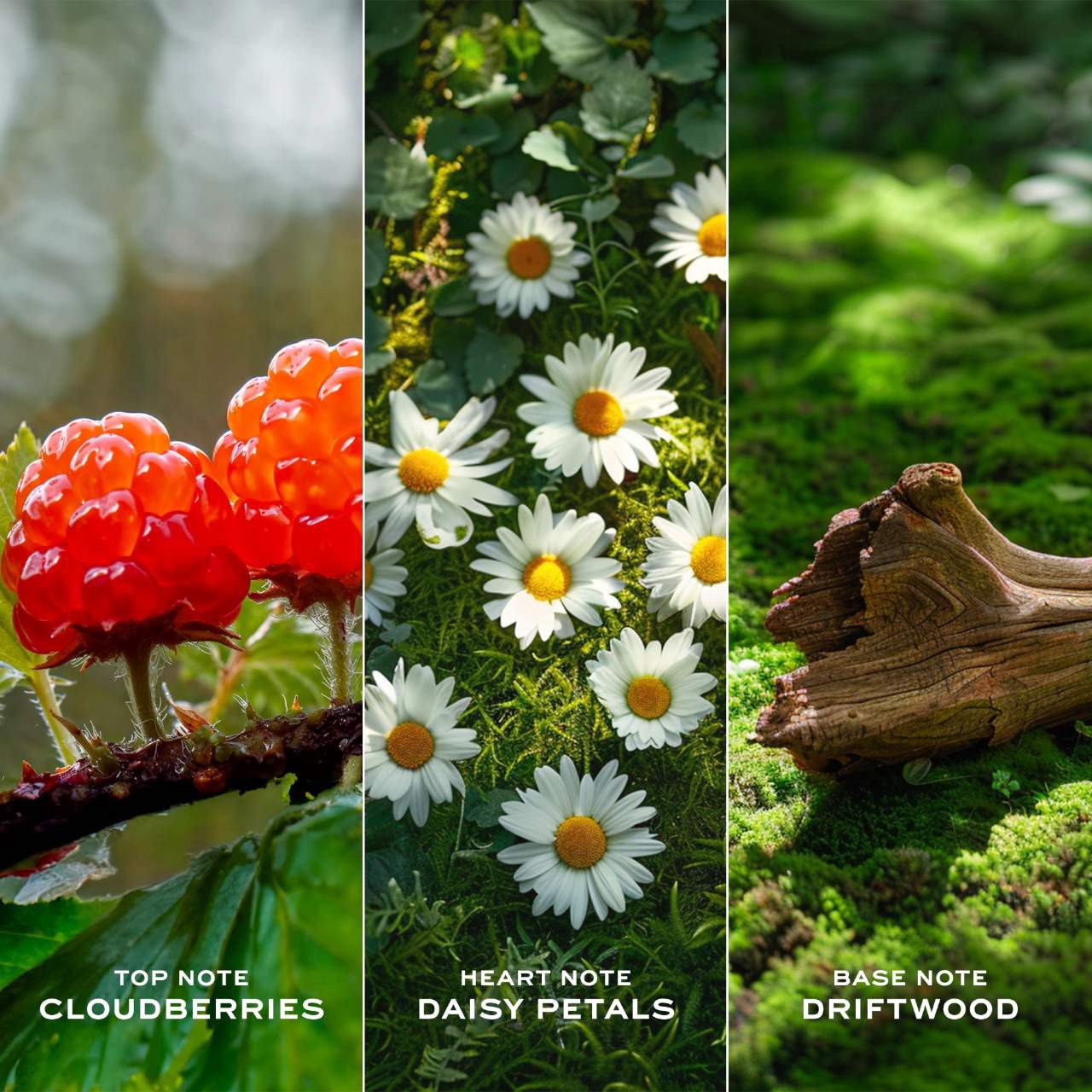 slide 4 of 6, Marc Jacobs Fragrances Daisy Love Eau de Toilette with Crystalized Cloudberries, Daisy Petals & Driftwoods 1.6 oz / 50 ml eau de toilette spray,