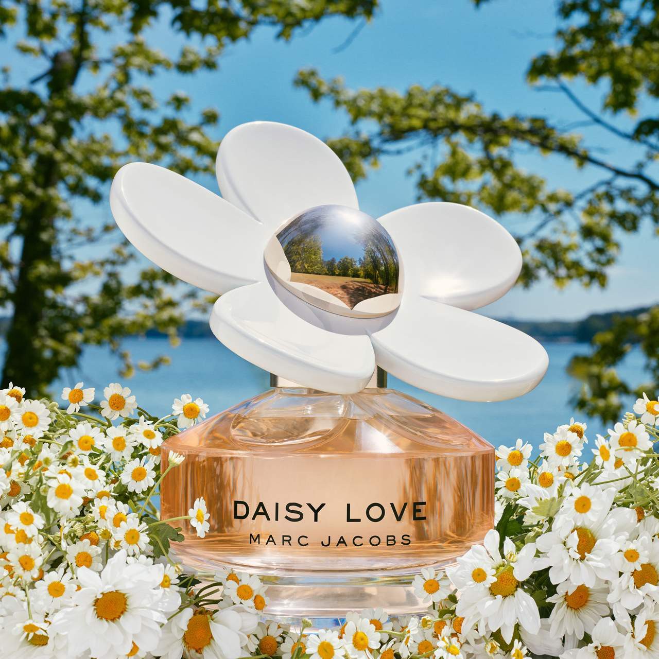 slide 5 of 6, Marc Jacobs Fragrances Daisy Love Eau de Toilette with Crystalized Cloudberries, Daisy Petals & Driftwoods 1.6 oz / 50 ml eau de toilette spray,