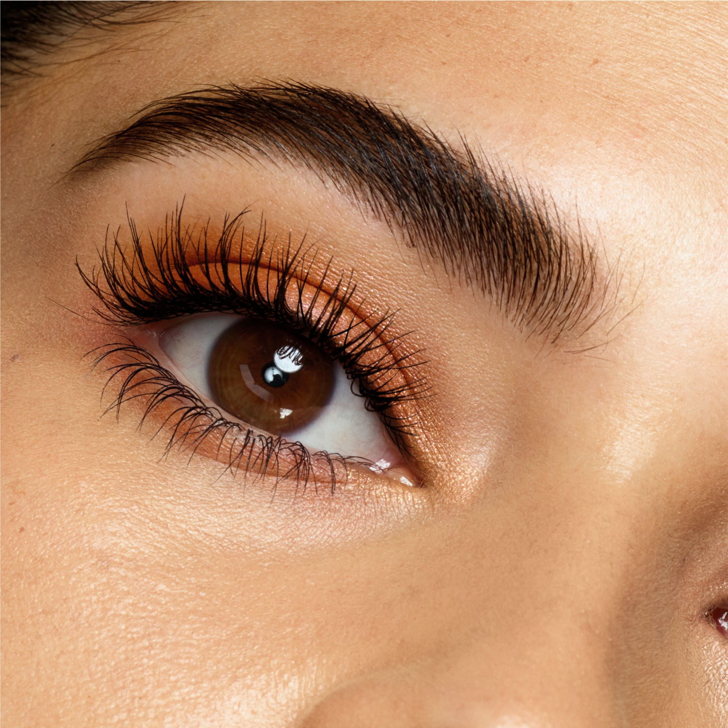 slide 3 of 4, Covergirl COVERGIRL Lash Blast Volume Mascara & Lash Blast Amplify Eyelash Primer Pack, Very Black, 0.44 fl oz