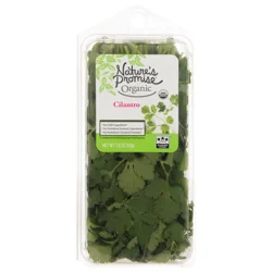 Nature's Promise Organic Cilantro