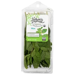 Nature's Promise Organic Mint