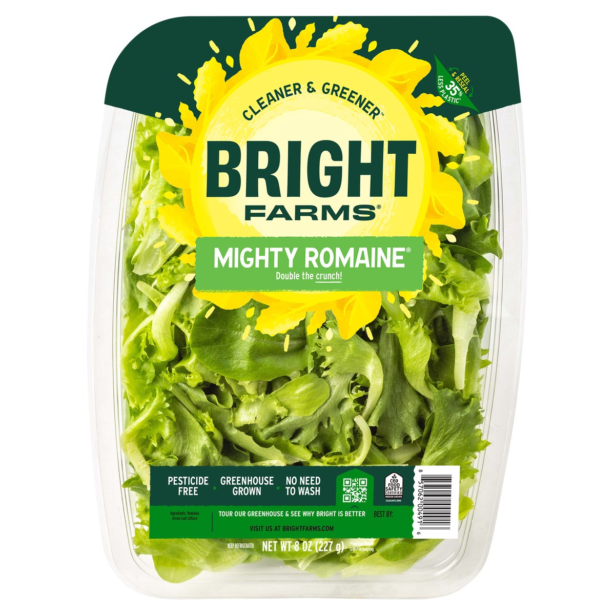 slide 2 of 4, Bright Farms Mighty Romaine Family Pack, 8 oz
