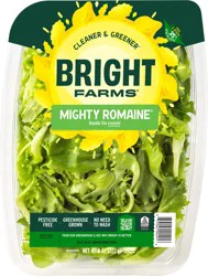Bright Farms Mighty Romaine Family Pack
