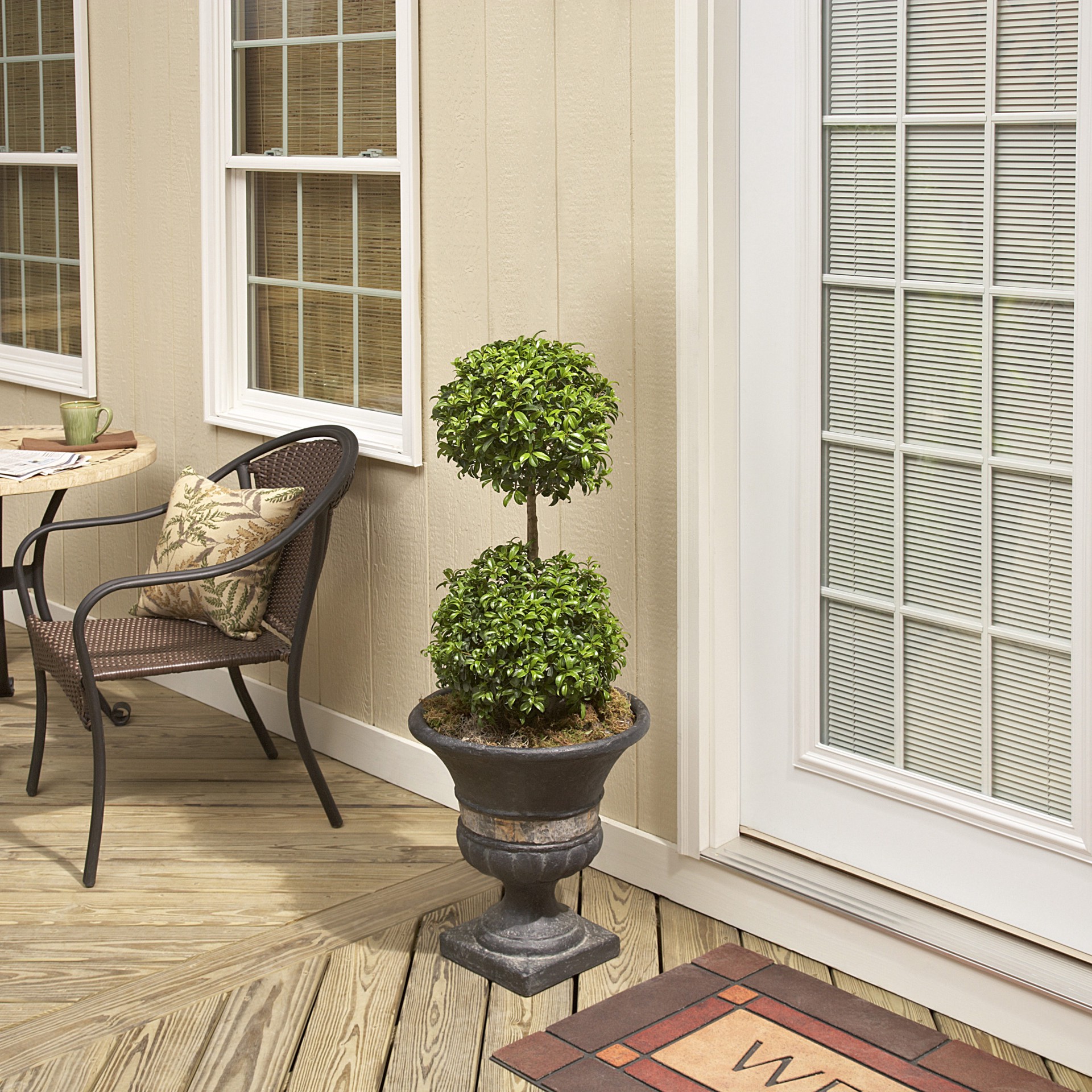 slide 4 of 4, Lowe's Eugenia Topiary House plant in 3 Gallon(s) Pot 1.0 -Pack, 1 ct