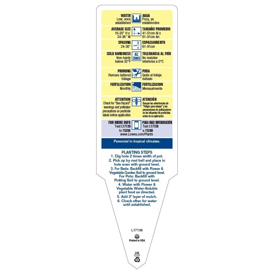 slide 3 of 3, Lowe's White Alternanthera in 2.5 Quart(s) Pot, 1 ct