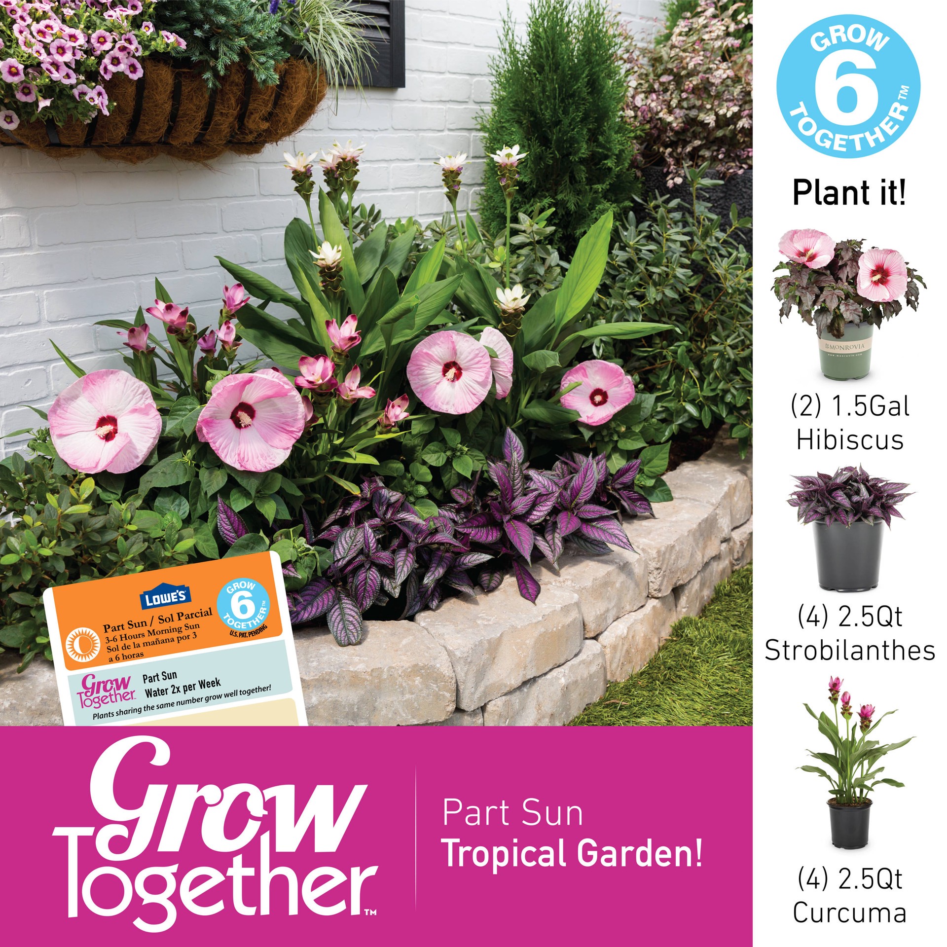 slide 3 of 3, Lowe's Multicolor Luna#8482 Blush Hibiscus in 1.75 Gallon(s) Planter, 1 ct