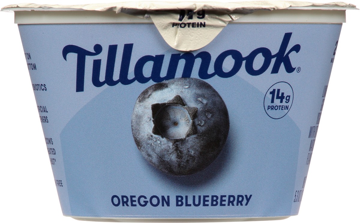 slide 6 of 9, Tillamook Farmstyle Greek Oregon Blueberry Yogurt, 