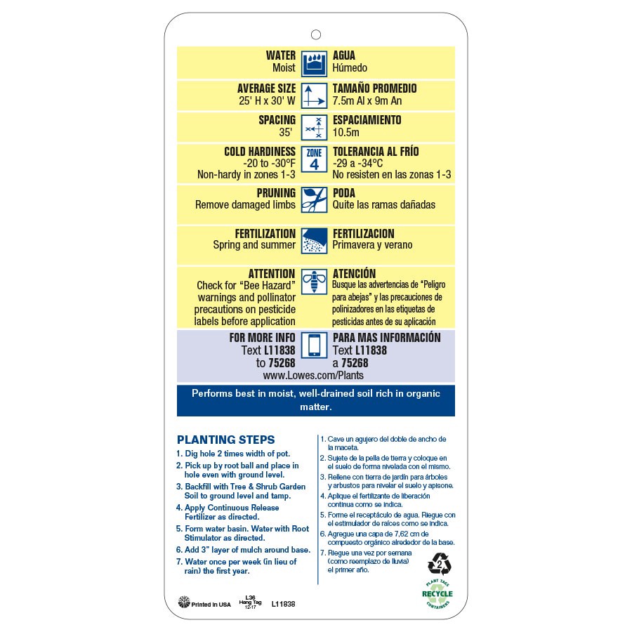 slide 3 of 3, Lowe's 3.25 -Gallon Pink Flowering Redbud In pot (with soil), 1 ct