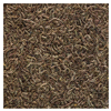 slide 11 of 17, Tetra Bloodworms Freeae Dried Fish Food,., 0.25 oz