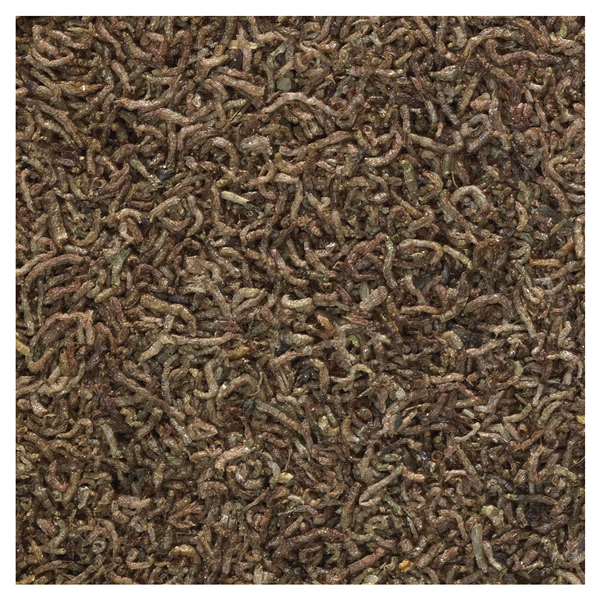 slide 9 of 17, Tetra Bloodworms Freeae Dried Fish Food,., 0.25 oz