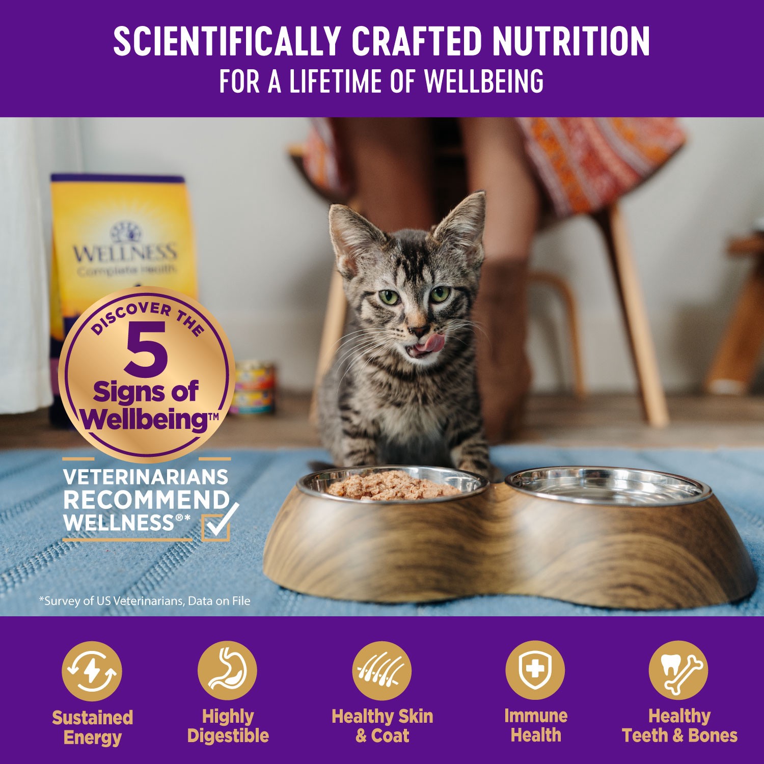 slide 5 of 9, Wellness Kitten Wet Canned Food, 1 ct