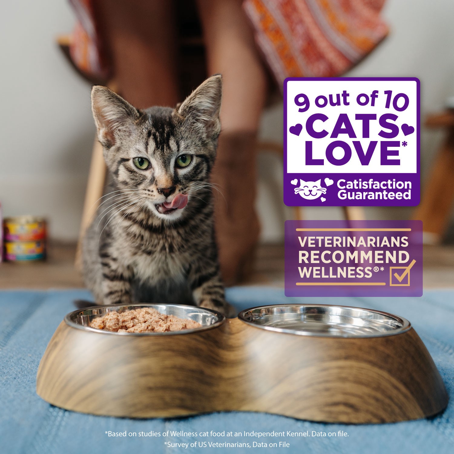 slide 7 of 9, Wellness Kitten Wet Canned Food, 1 ct