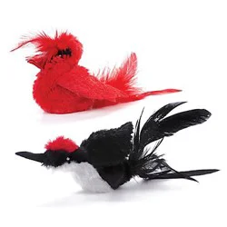 Pet Zone Realbird Play N Squeak