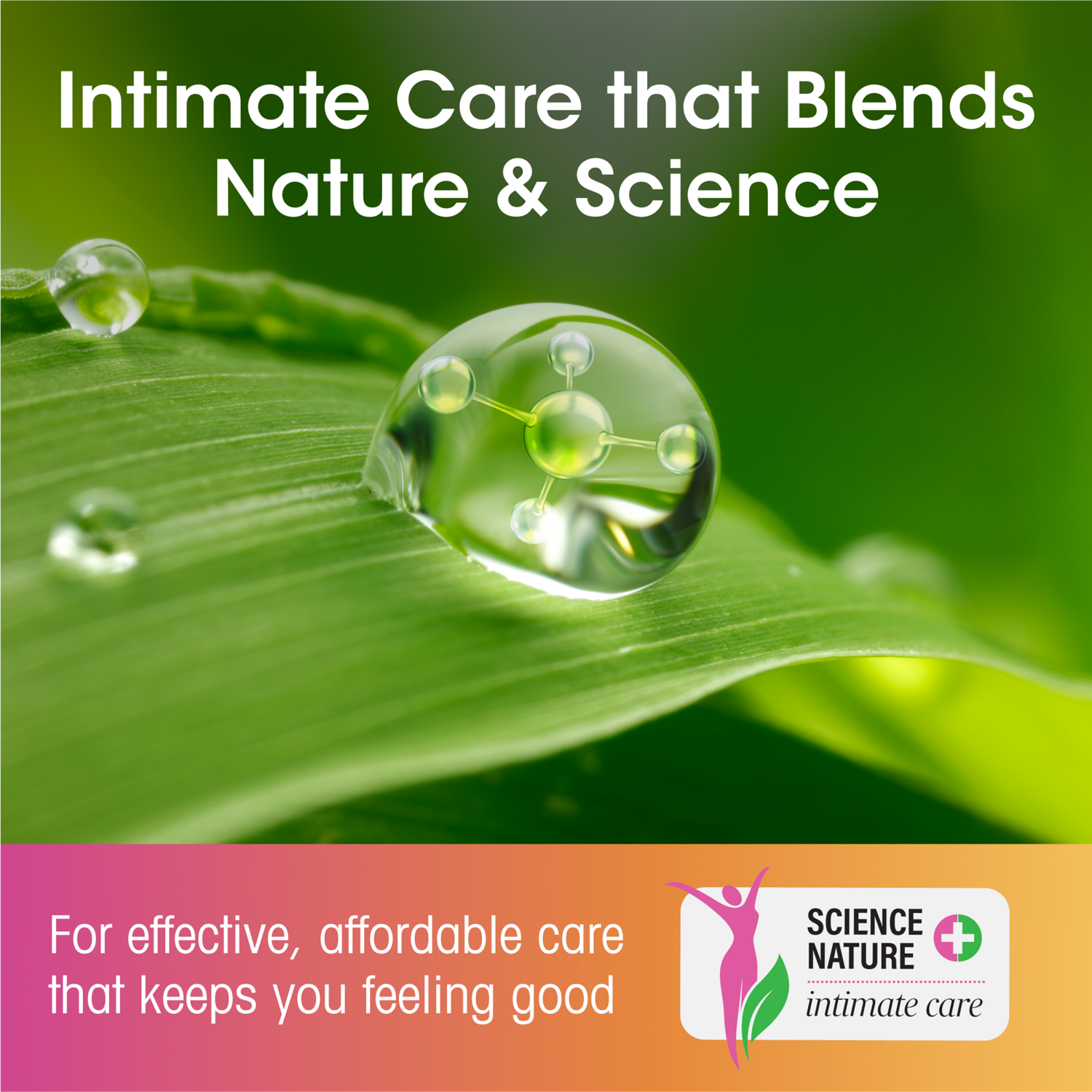 slide 3 of 8, Vh Essentials Gummies W/ Cranberry, 60 Ct, 60 ct