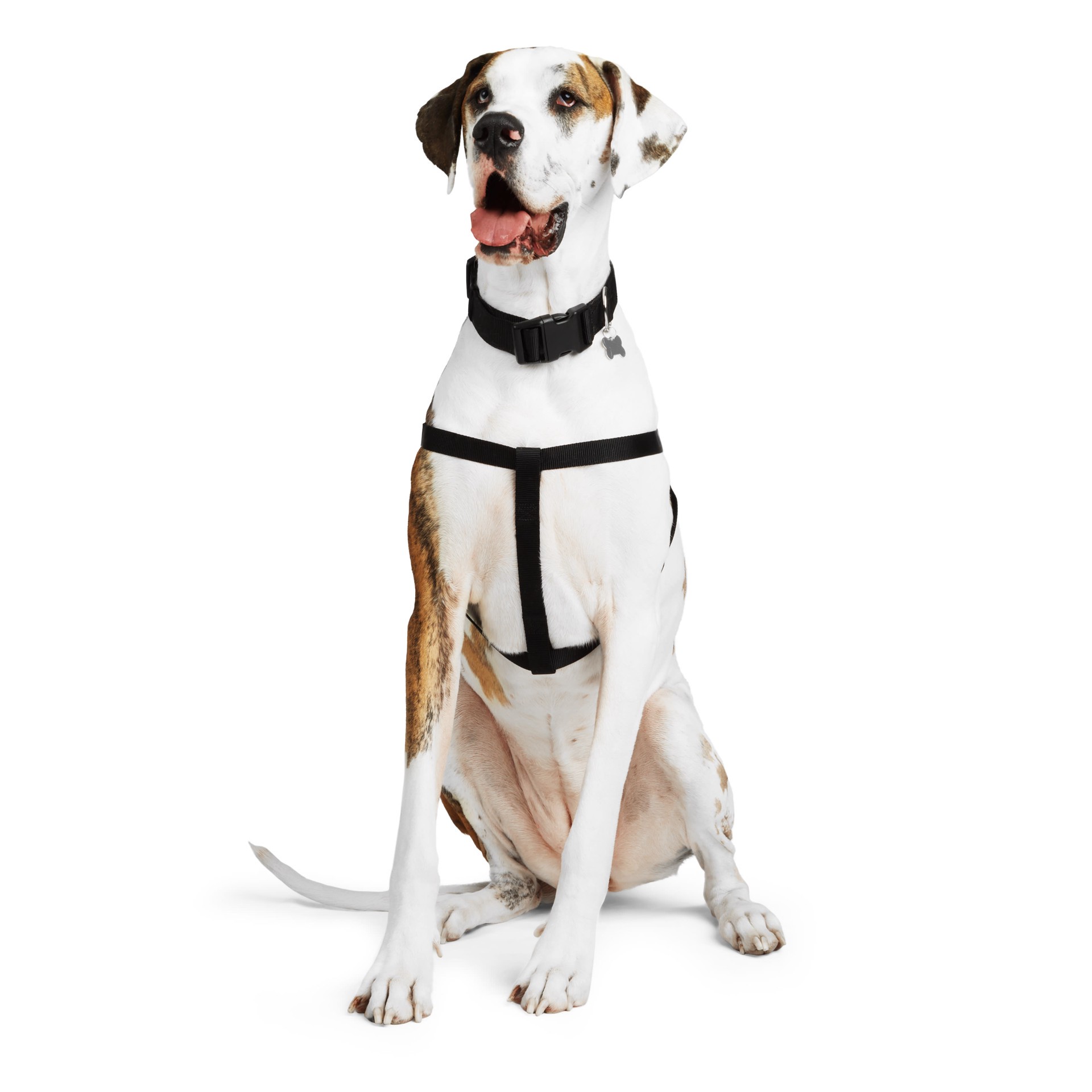 slide 1 of 1, YOULY Black Dog Harness, Large, LG