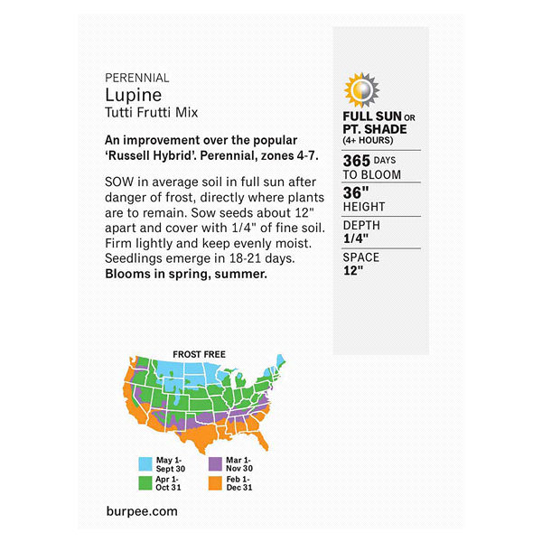 slide 3 of 5, Burpee Lupine Tutti-Fruitti Mix Perennial Seeds, 1 ct