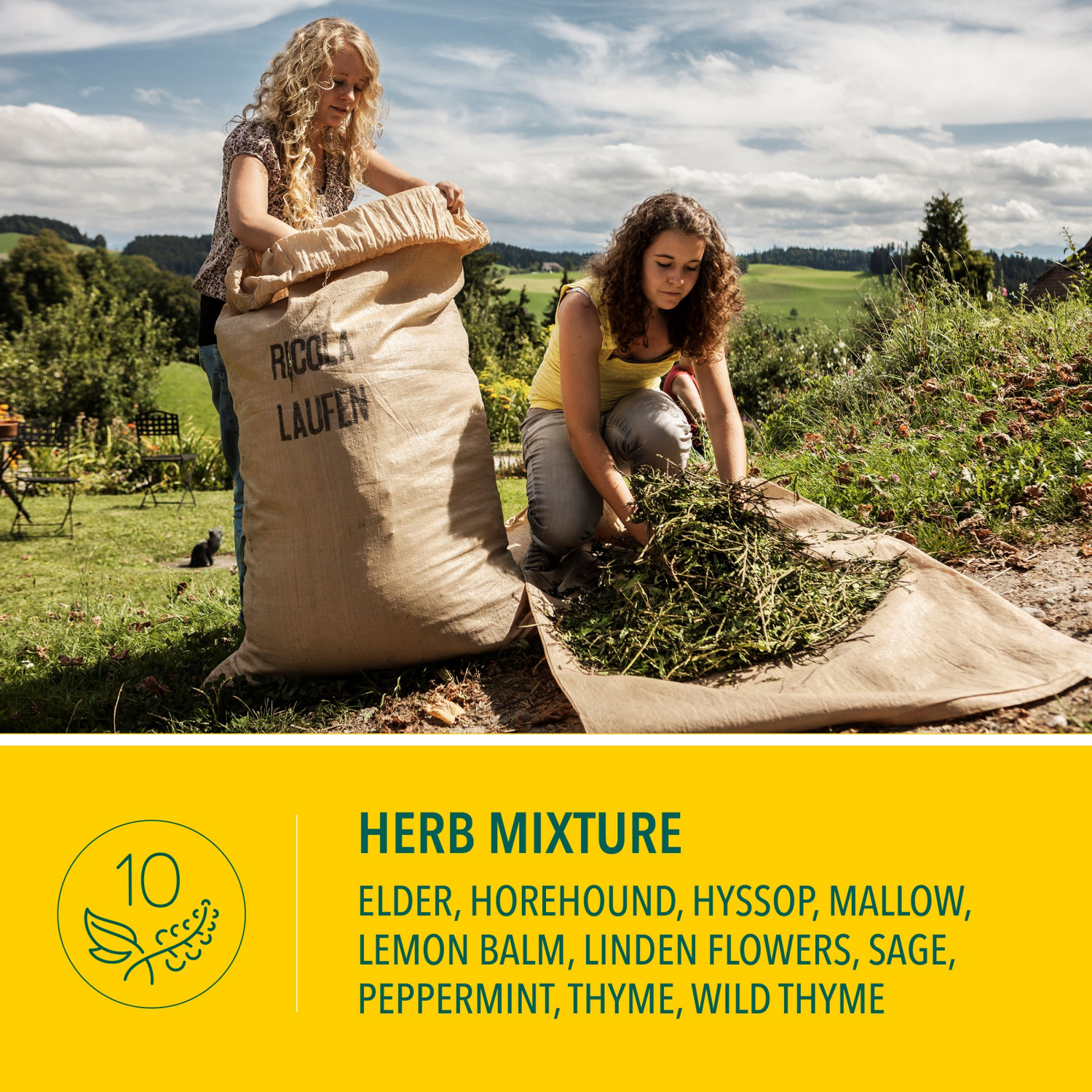 slide 5 of 5, Ricola Sugar Free Swiss Herb Soothing Cough Drops Throat Relief & Cough Suppressant, 45 Count, 45 ct