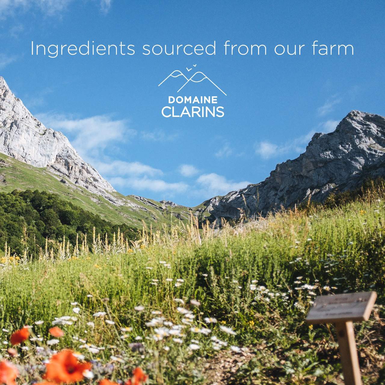 slide 8 of 8, Clarins One-Step Gentle Exfoliating Cleanser 3.9 oz / 115 ml, 