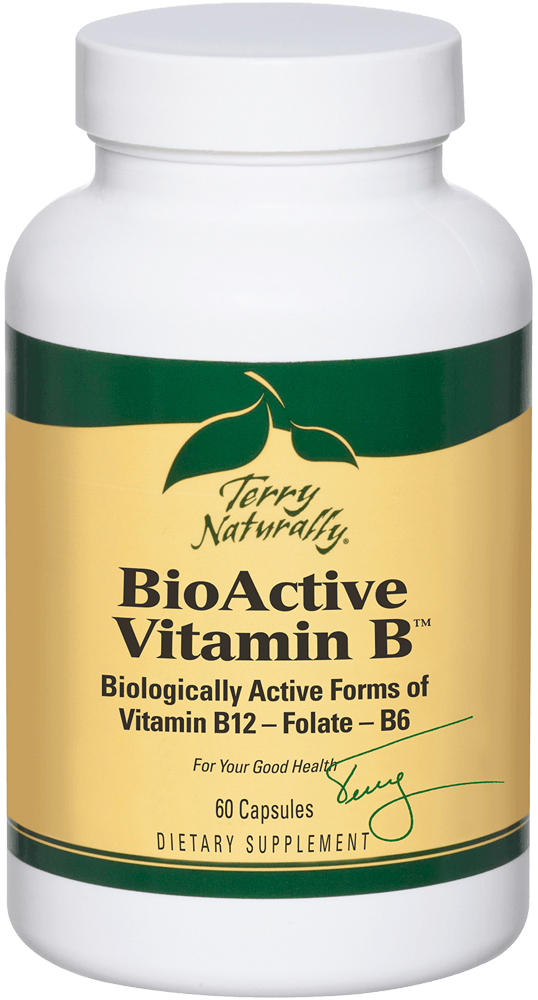 slide 1 of 1, Terry Naturally Bioactive Vitamin B, 60 ct