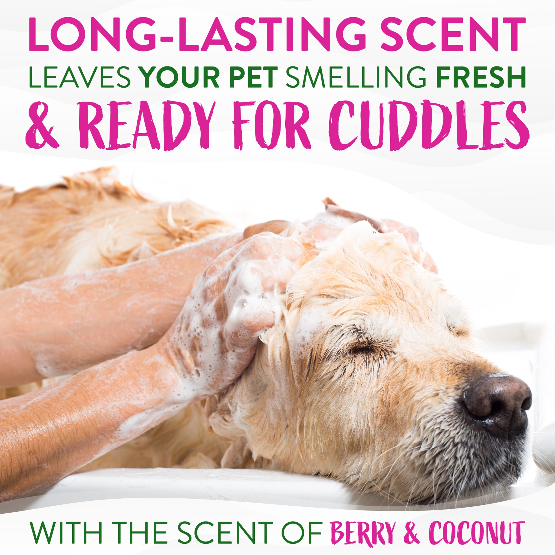 slide 3 of 10, TropiClean Berry & Coconut Deep Cleansing Shampoo for Pets, 20oz, 20 oz