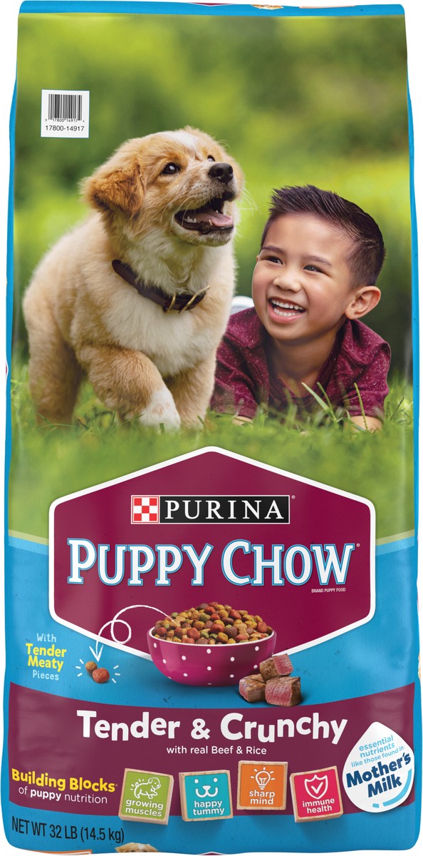 slide 8 of 9, Purina Puppy Chow High Protein Dry Puppy Food, Tender & Crunchy With Real Beef, 32 lb