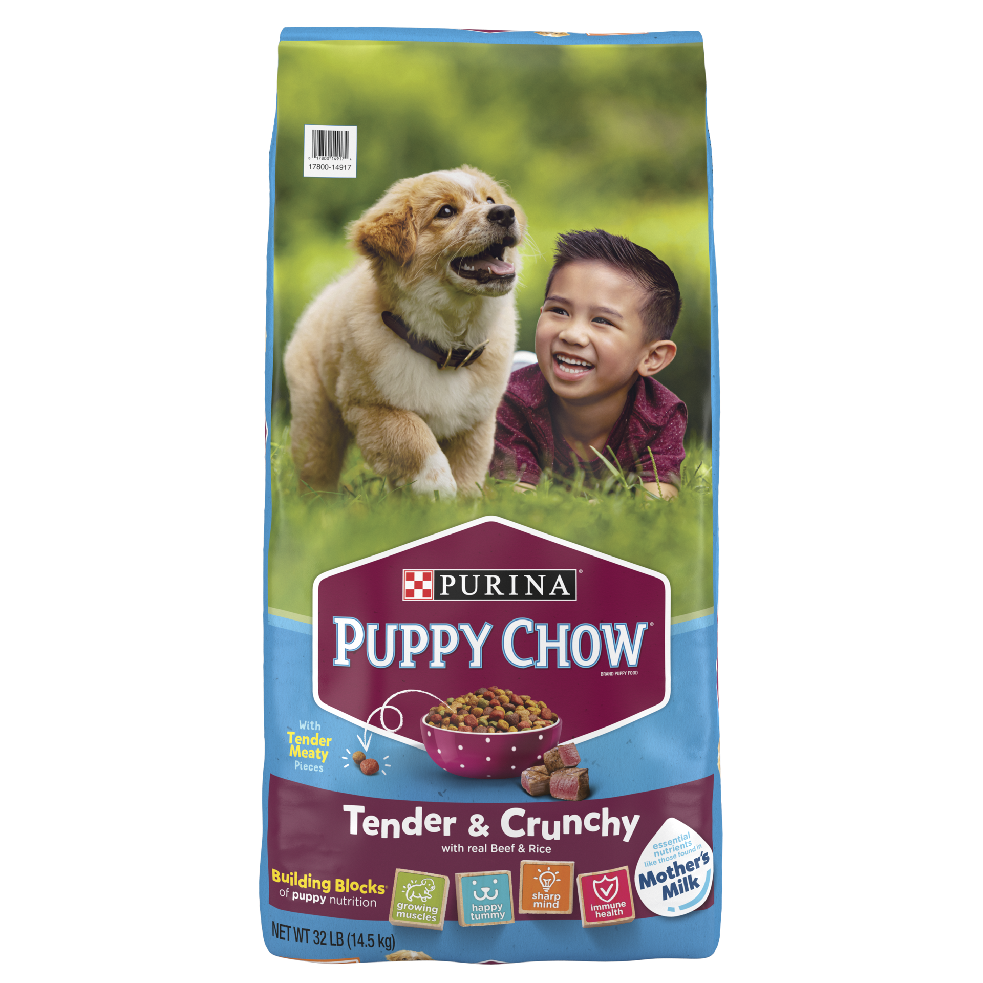 slide 1 of 9, Purina Puppy Chow High Protein Dry Puppy Food, Tender & Crunchy With Real Beef, 32 lb