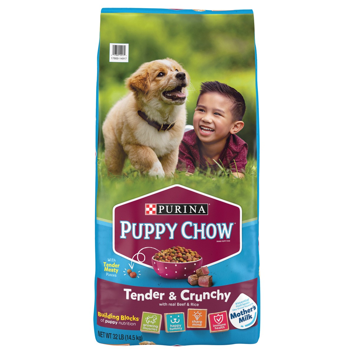 slide 1 of 9, Purina Puppy Chow High Protein Dry Puppy Food, Tender & Crunchy With Real Beef, 32 lb