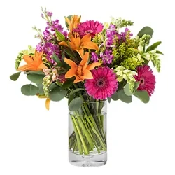 Desginers Choice Mixed Arrangement 49.99 - Each