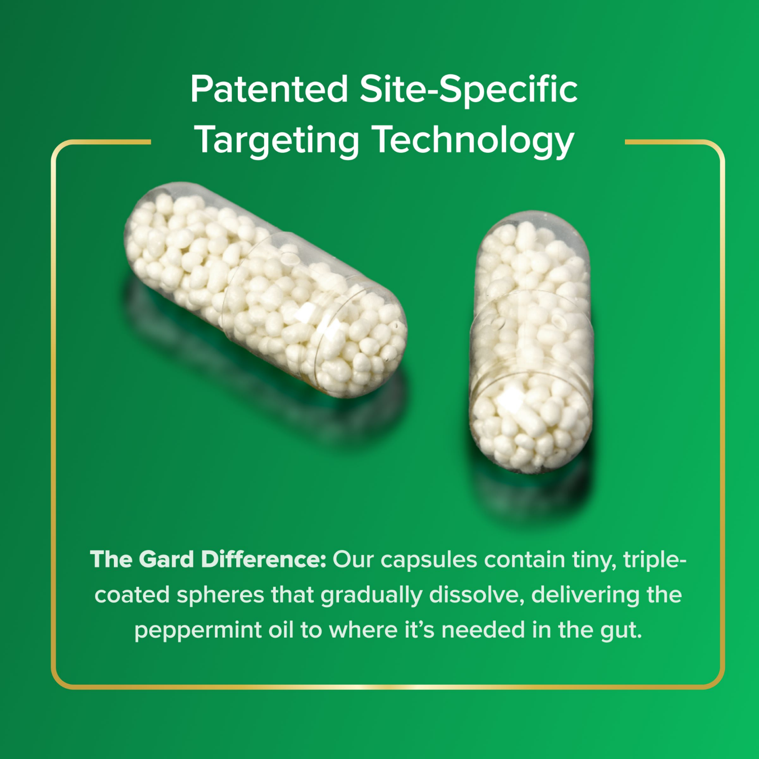 slide 4 of 8, IBgard Irritable Bowel Syndrome Dietary Management Capsules, 48 ct