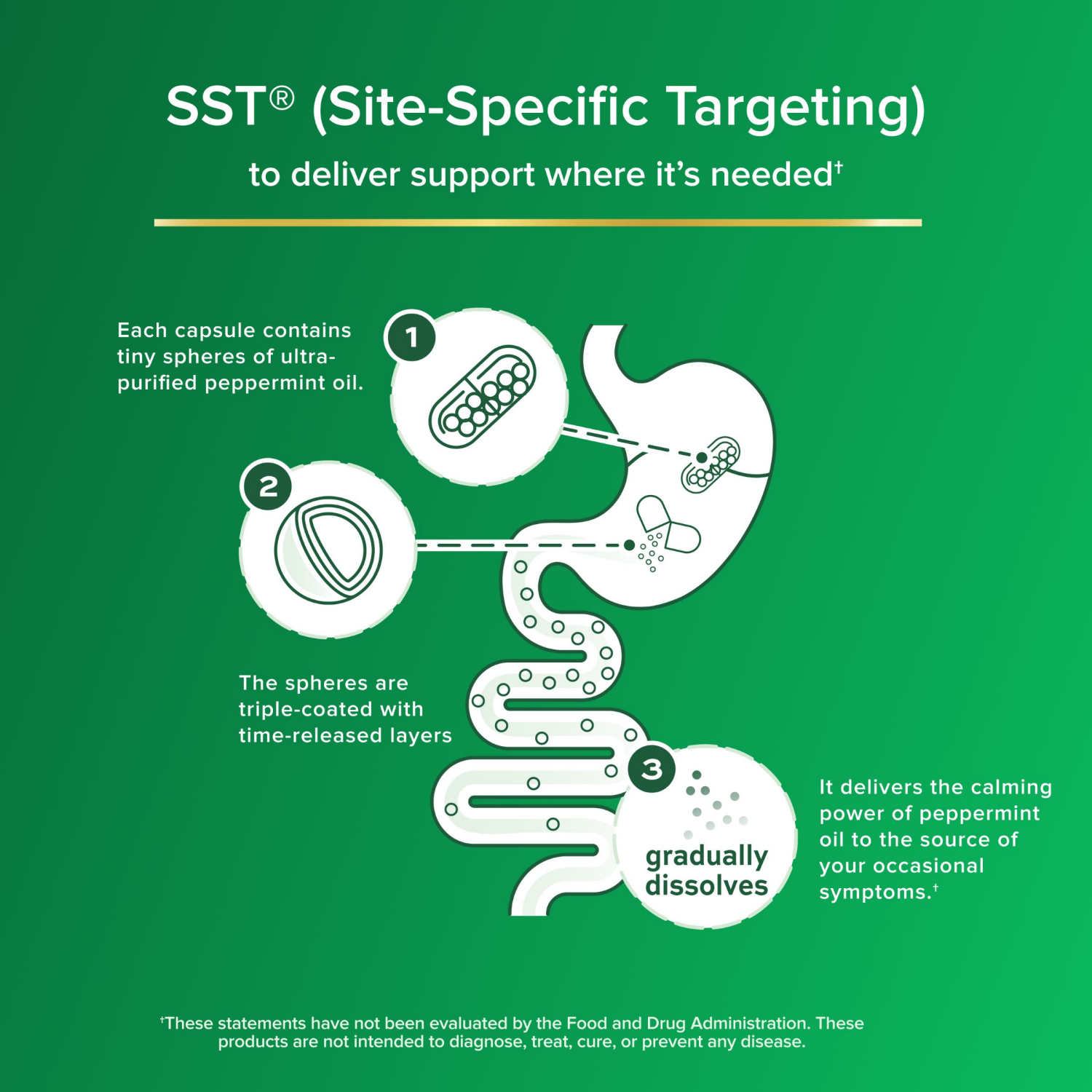 slide 8 of 8, IBgard Irritable Bowel Syndrome Dietary Management Capsules, 48 ct