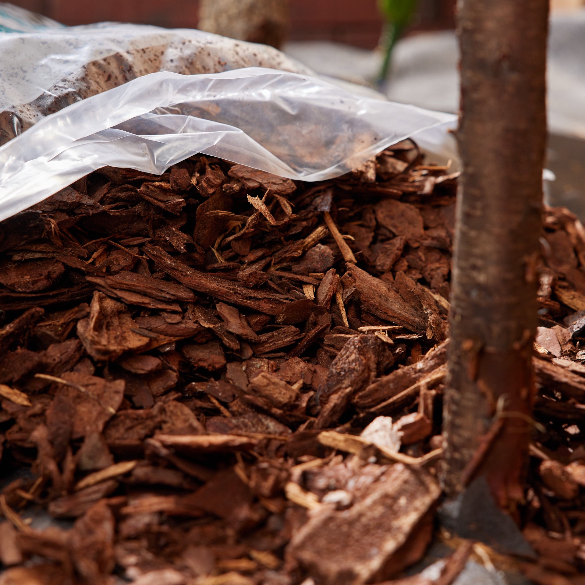 slide 3 of 6, Gardenscape 2 -cu ft Dark brown Pine bark Pine bark mini nuggets mulch, 1 ct