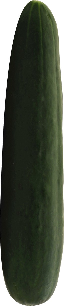 slide 1 of 3, Cucumber, 1 ct