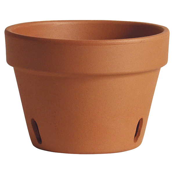 slide 1 of 1, Marshall Pottery Deroma Terracotta Orchid Planter, 8.3 in
