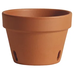 Marshall Pottery Deroma Terracotta Orchid Planter