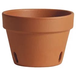 Marshall Pottery Deroma Terracotta Orchid Planter