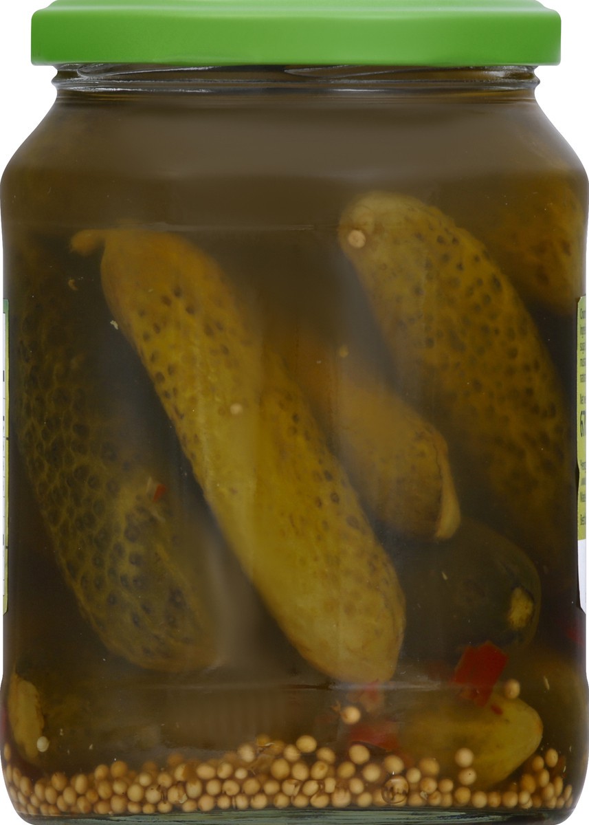 slide 6 of 8, Hengstenberg Crunchy Gherkins 24.3 oz, 24.3 oz